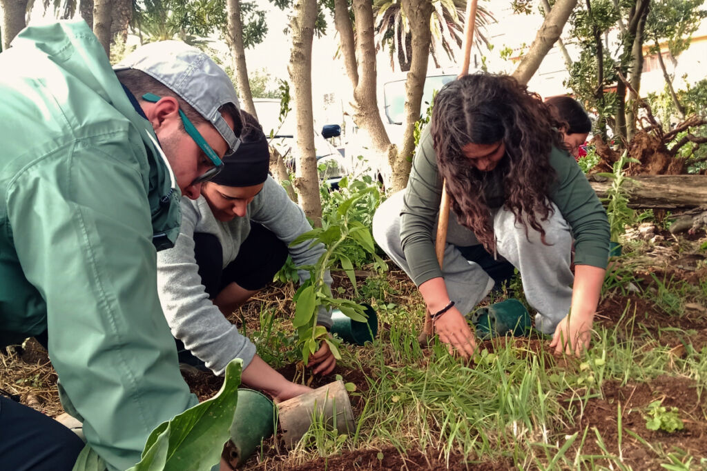 Alumando participante en esta acción de restauración ambiental desarrollado en el Jardín Canario del Campus Central.