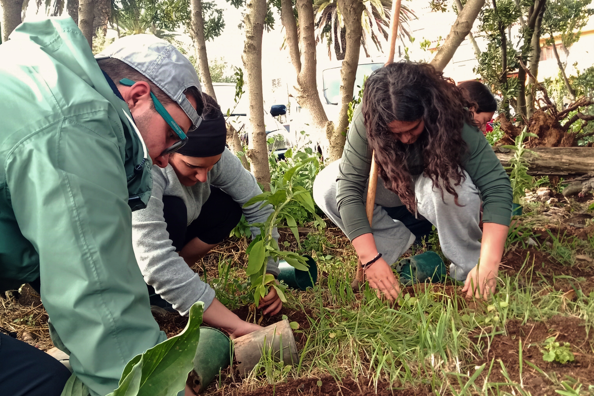 Alumando participante en esta acción de restauración ambiental desarrollado en el Jardín Canario del Campus Central.