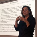 Lucía Tabares, profesora de Fisiología de la Universidad de Sevilla, ha sido una de las ponentes participantes en estos seminarios de biomedicina del ITB.