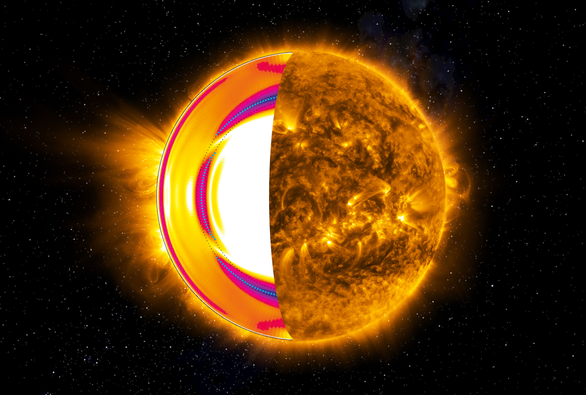 Corte esquemático del Sol. La mitad derecha muestra la actividad magnética de la superficie solar observada en el ultravioleta extremo, donde se revelan arcos coronales y regiones activas dominadas por el campo magnético. La mitad izquierda muestra el interior solar al “abrir” su superficie, ilustrando cómo varía la velocidad de rotación con la profundidad y la latitud. La región marcada con líneas azules discontinuas corresponde a la tacoclina, una capa de transición situada a unos 200 000 km de profundidad, donde ocurre una intensa variación de la velocidad de rotación. En este trabajo describimos con el mayor detalle alcanzado hasta el momento la estructura y dimensiones de esta región. El campo magnético solar se alimenta de la fuerte cizalla rotacional y de la complejidad dinámica de la tacoclina. La actividad magnética observada en la superficie solar tiene su origen en esta capa profunda del interior del Sol.