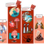 Infografía que acompaña el editorial sobre los principales factores de mortalidad.