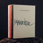 Portada de la obra sobre Manrique