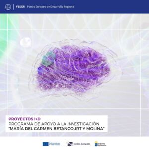 banner del programa de Apoyo a la investigación aplicada  María del Carmen Bethencourt y Molina