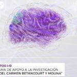 banner del programa de Apoyo a la investigación aplicada María del Carmen Bethencourt y Molina