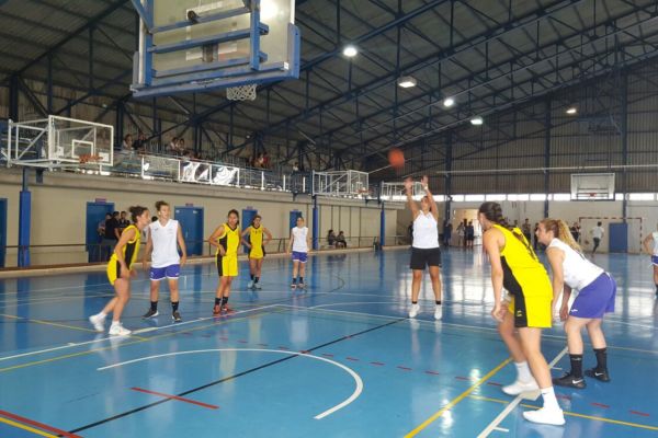 BALONCESTO(masc.,fem y mixto)