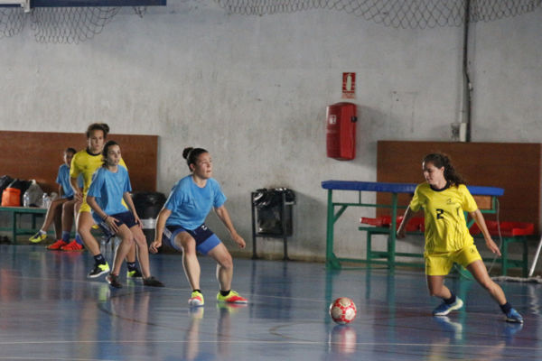 FUTBOL SALA(masc.,fem y mixto)