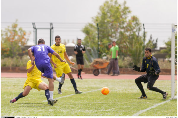 FÚTBOL 7(masc.,fem y mixto)