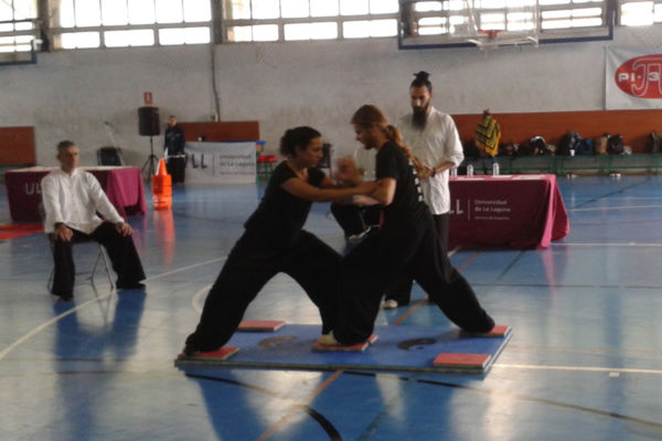 artes marciales orientales