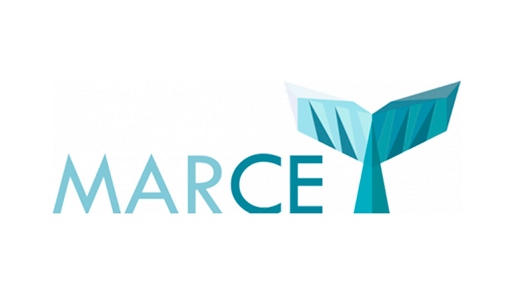 Red Macaronésica de Transferencia de Conocimientos y Tecnologías Interregional y Multidisciplinar para proteger, vigilar y monitorizar los cetáceos y el medio marino, y analizar y explotar de forma sostenible la actividad turística asociada