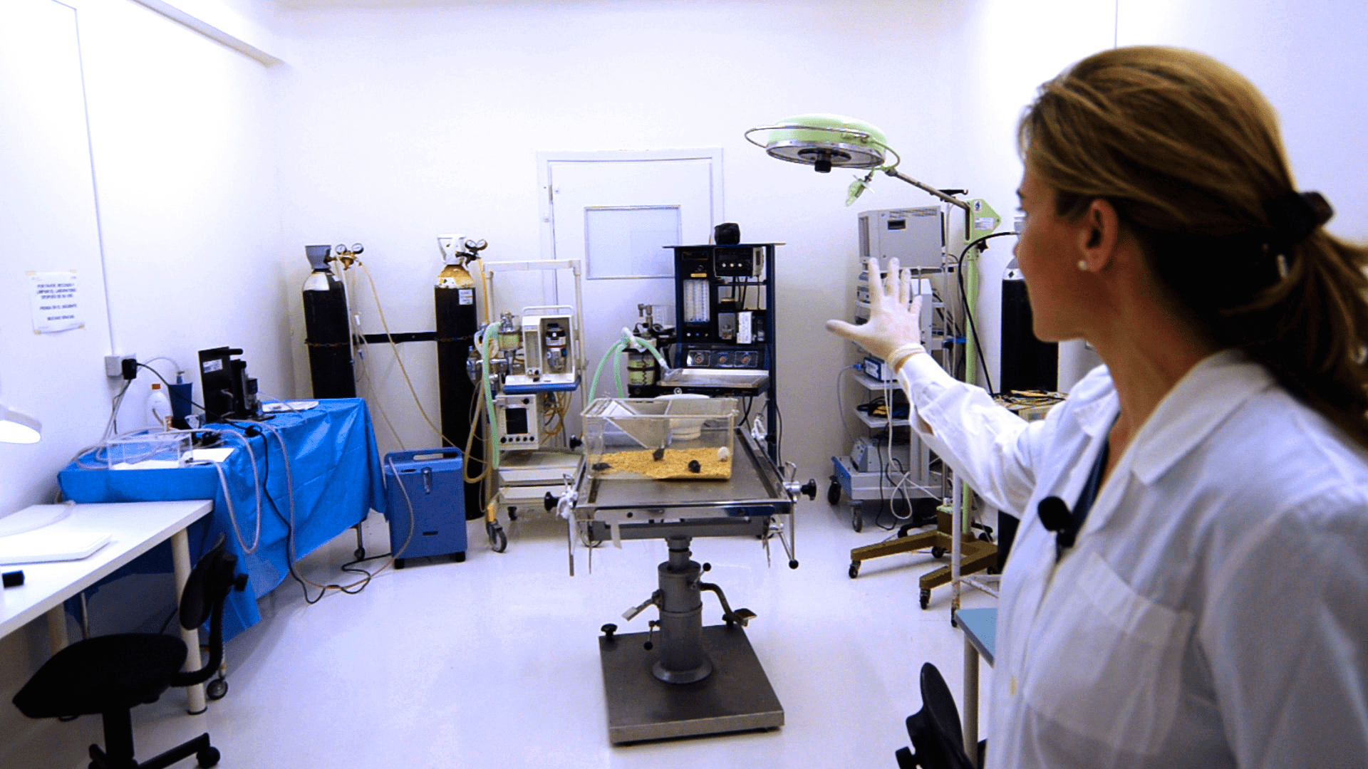 Estabulario y Animalario